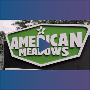 American Meadows