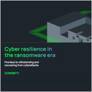 Cyber resilience in the ransomware era