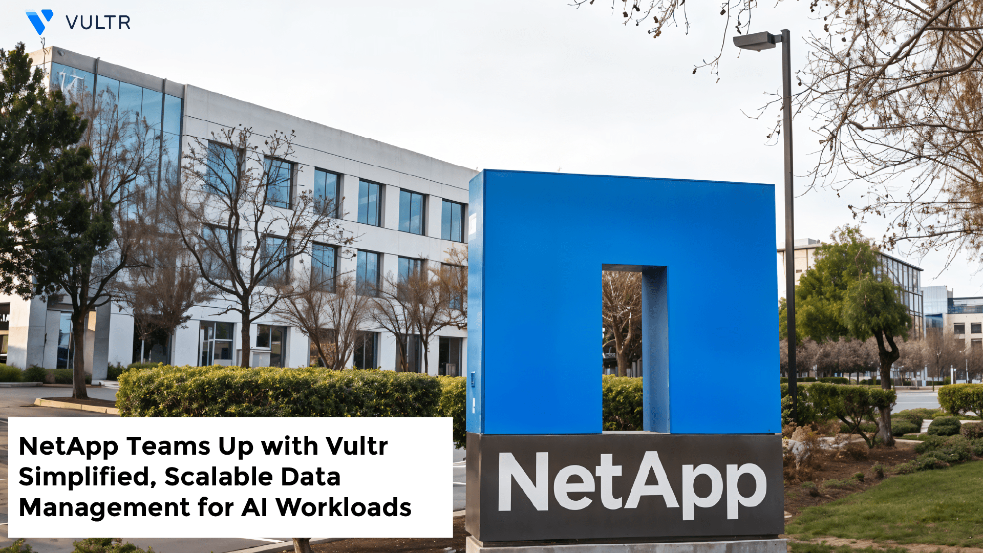 NetApp Teams Up with Vultr: Simplified, Scalable Data Management for AI Workloads