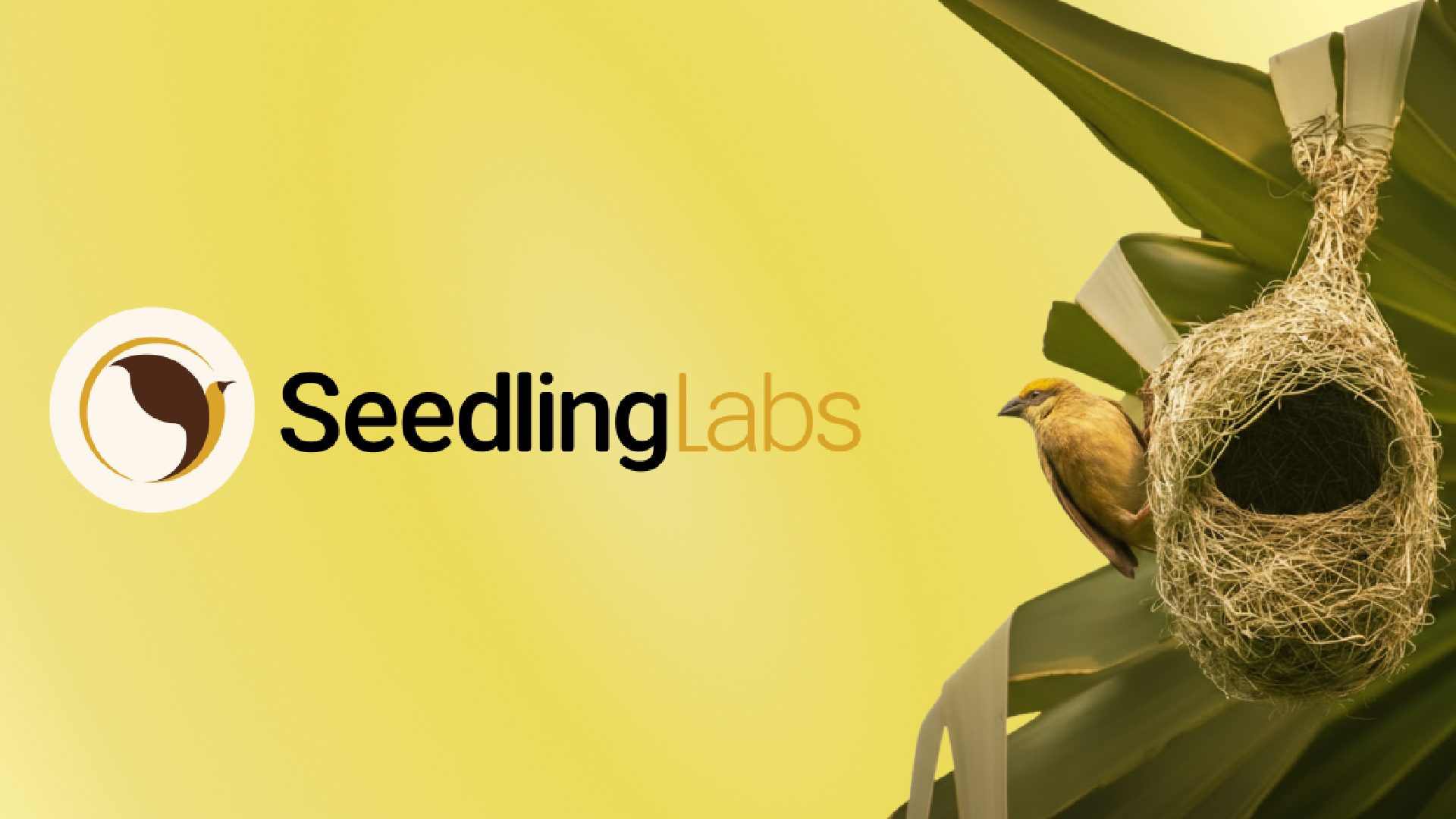 SeedlingLabs Appoints Dr. Sudhir Kumar Patnaik as First Advisory Board Member